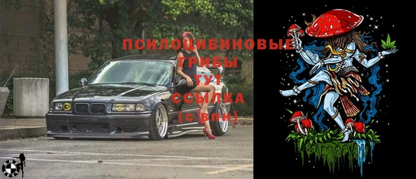 2c-b Балахна