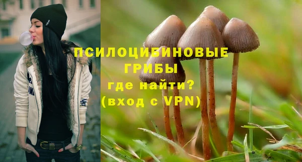 дживик Балабаново