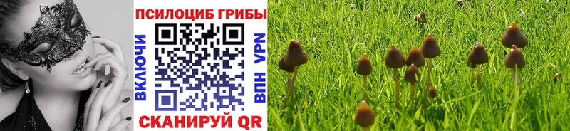 Псилоцибиновые грибы GOLDEN TEACHER  Краснозаводск 